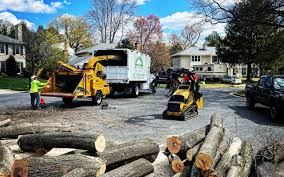 Best Firewood Processing and Delivery  in Lipatria, CA